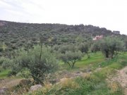 Agios Nikolaos Kreta, Agios Nikolaos: Ländliches Baugrundstück mit Panoramablick auf das Meer Grundstück kaufen